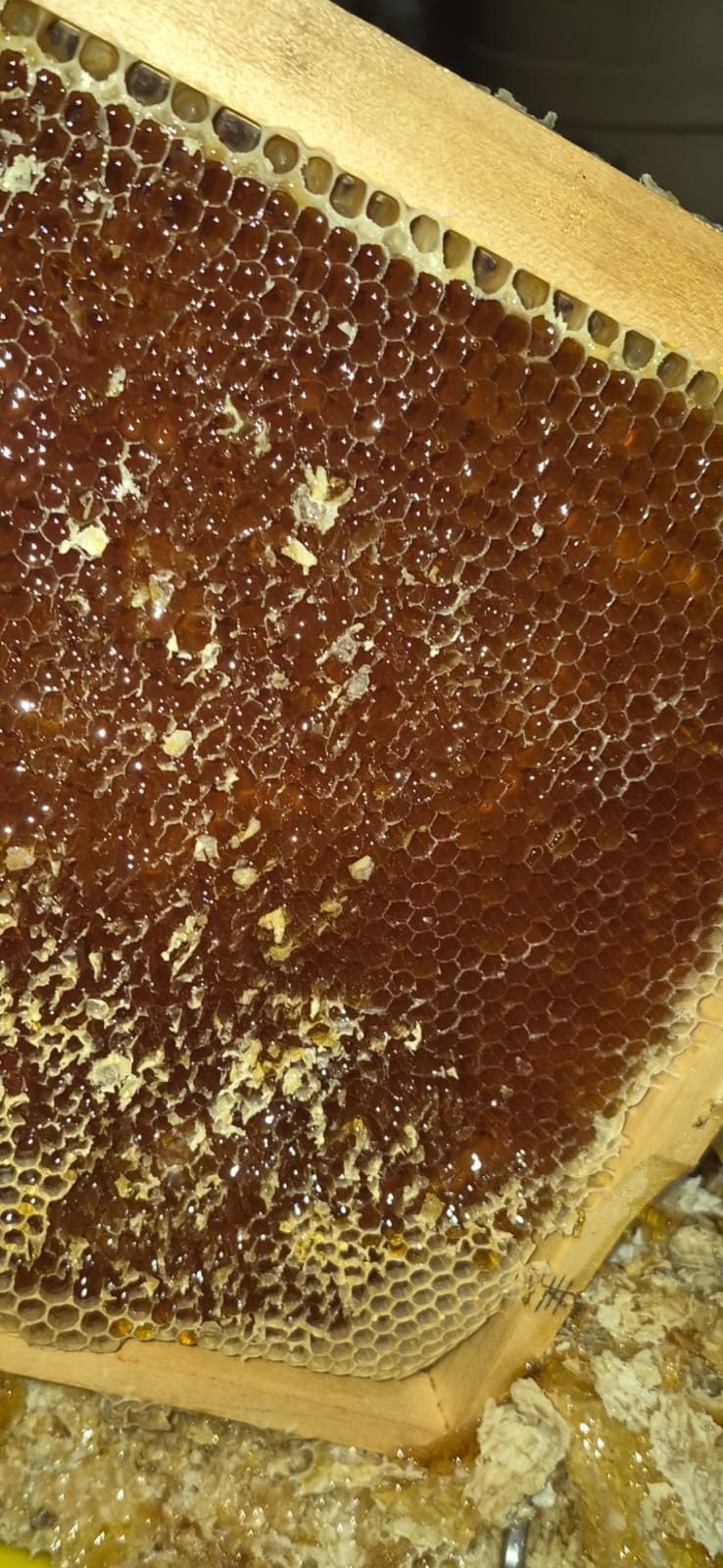 Karayemiş ve Kumar Balı